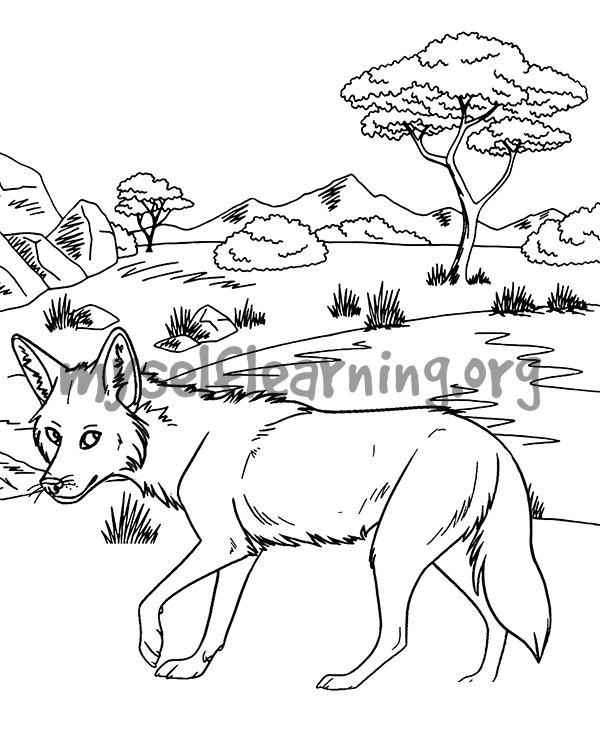 Fox walking in forest coloring sheet instant download