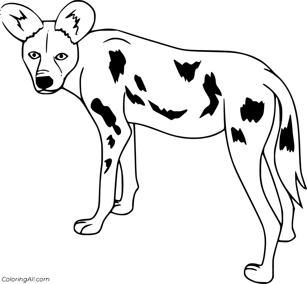 Free printable african wild dog coloring pages easy to print from any device and automatically fit any paper siâ wild dogs african wild dog dog coloring page