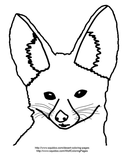 Fennec fox coloring page fennec fox coloring page adapted â