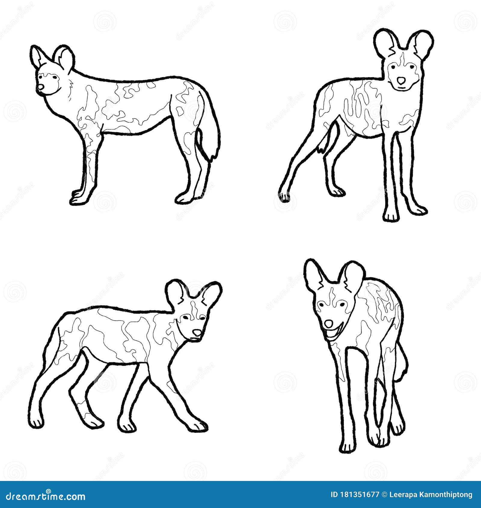 Cape hunting dog vector illustration hand drawn animal cartoon art stock vector