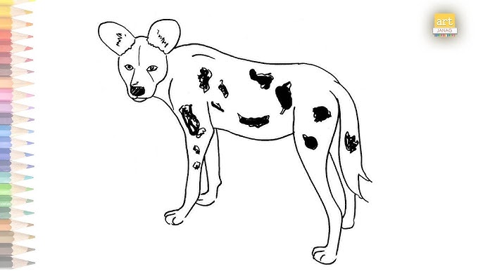 How to draw african wild dog easy