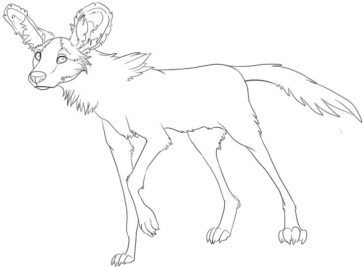 African wild dog coloring page