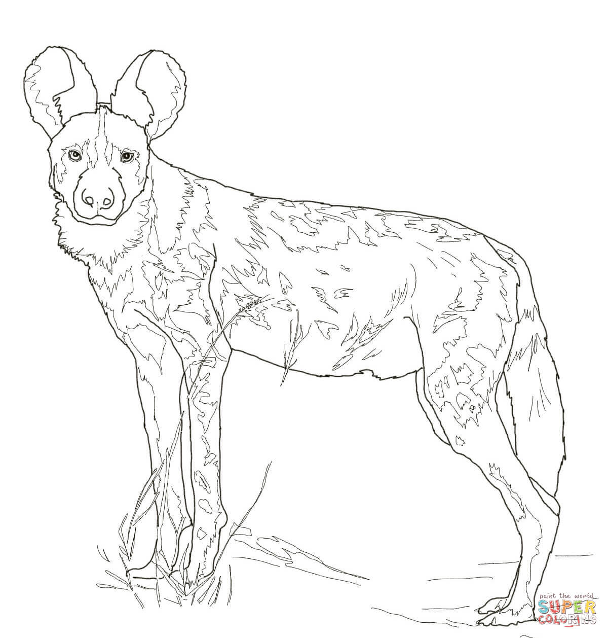 African wild dog coloring page free printable coloring pages