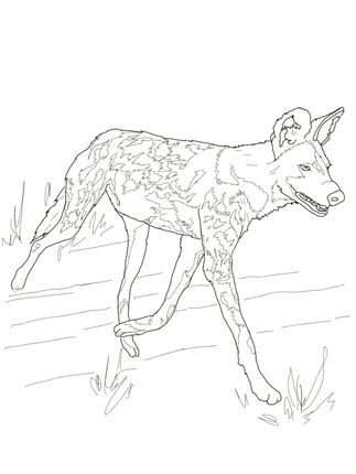 Click to see printable version of african wild dog or painted hunting dog coloring page african wild dog dog coloring page wild dogs