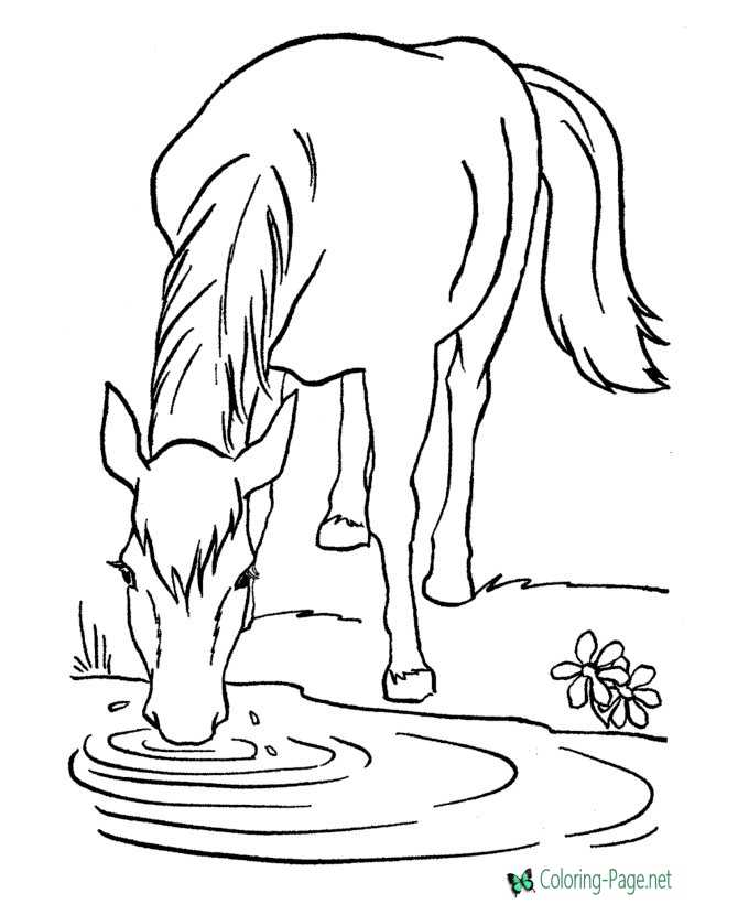 Horse coloring pages wild horses