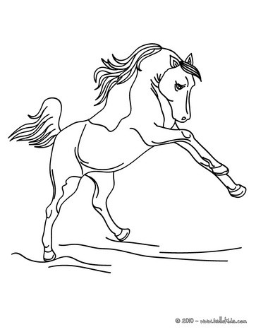 Wild horse coloring pages