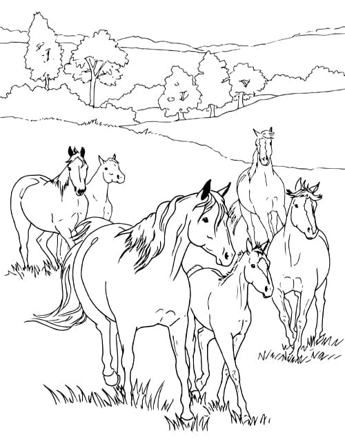 Coloring pages