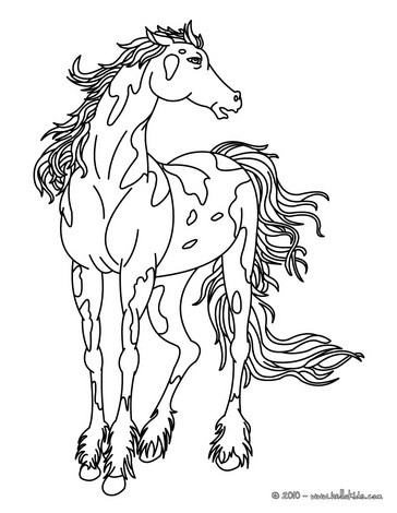 Wild horse coloring pages