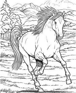 Horse coloring pages printable for free download