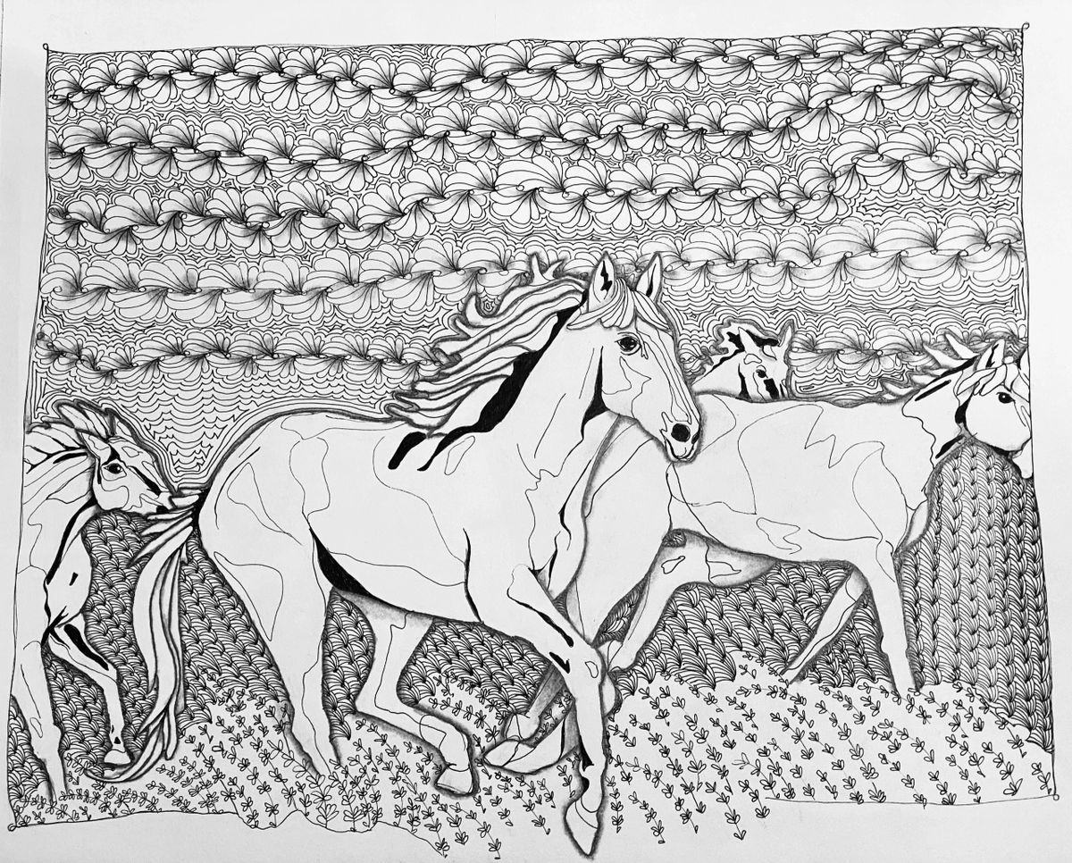 Colorado wild horses coloring page