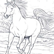 Horse