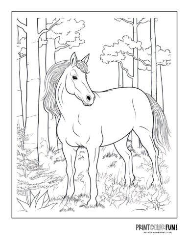 Beautiful horse coloring pages plus crafts educational games to saddle up for fun at
