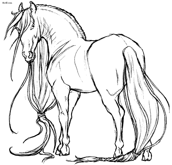 Horse coloring book pages wild horses coloring pages getcoloringpages horse coloring pages horse coloring horse coloring books