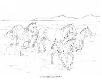 Printable set of horse breed coloring pages digital download