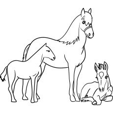 Top free printable horse coloring pages online