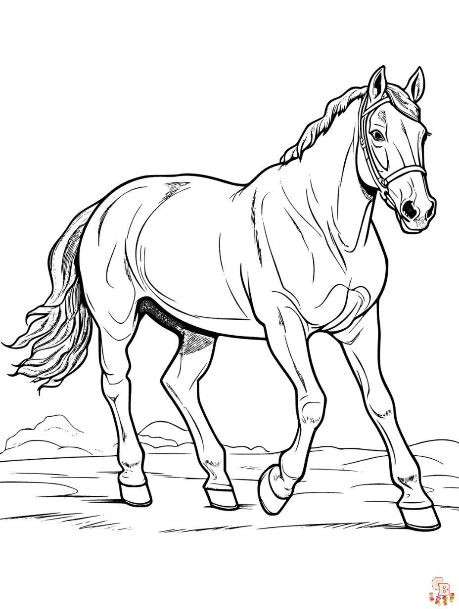 Discover the best horse coloring pages