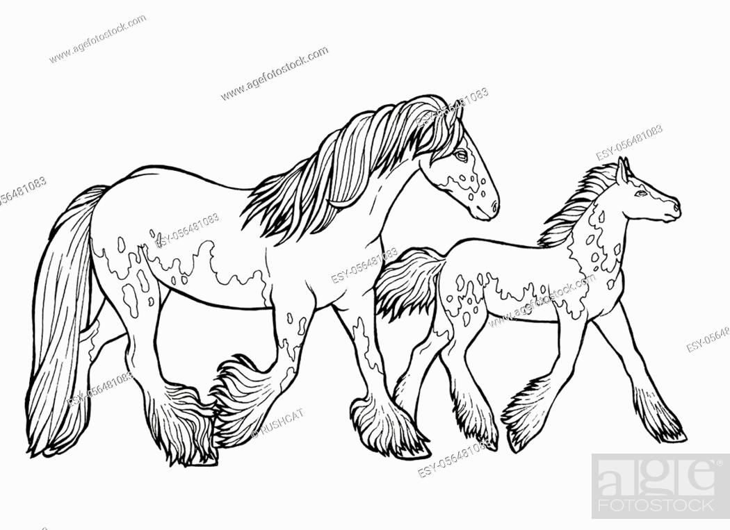 Horse runs trot coloring book stock photo picture and low budget royalty free image pic esy