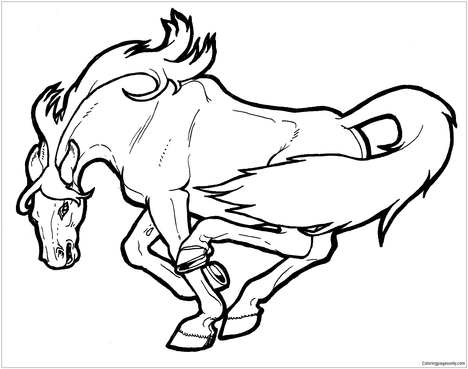 Startling wild horse coloring page