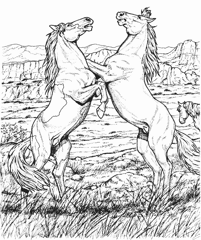 Art therapy coloring page horses horses on legs