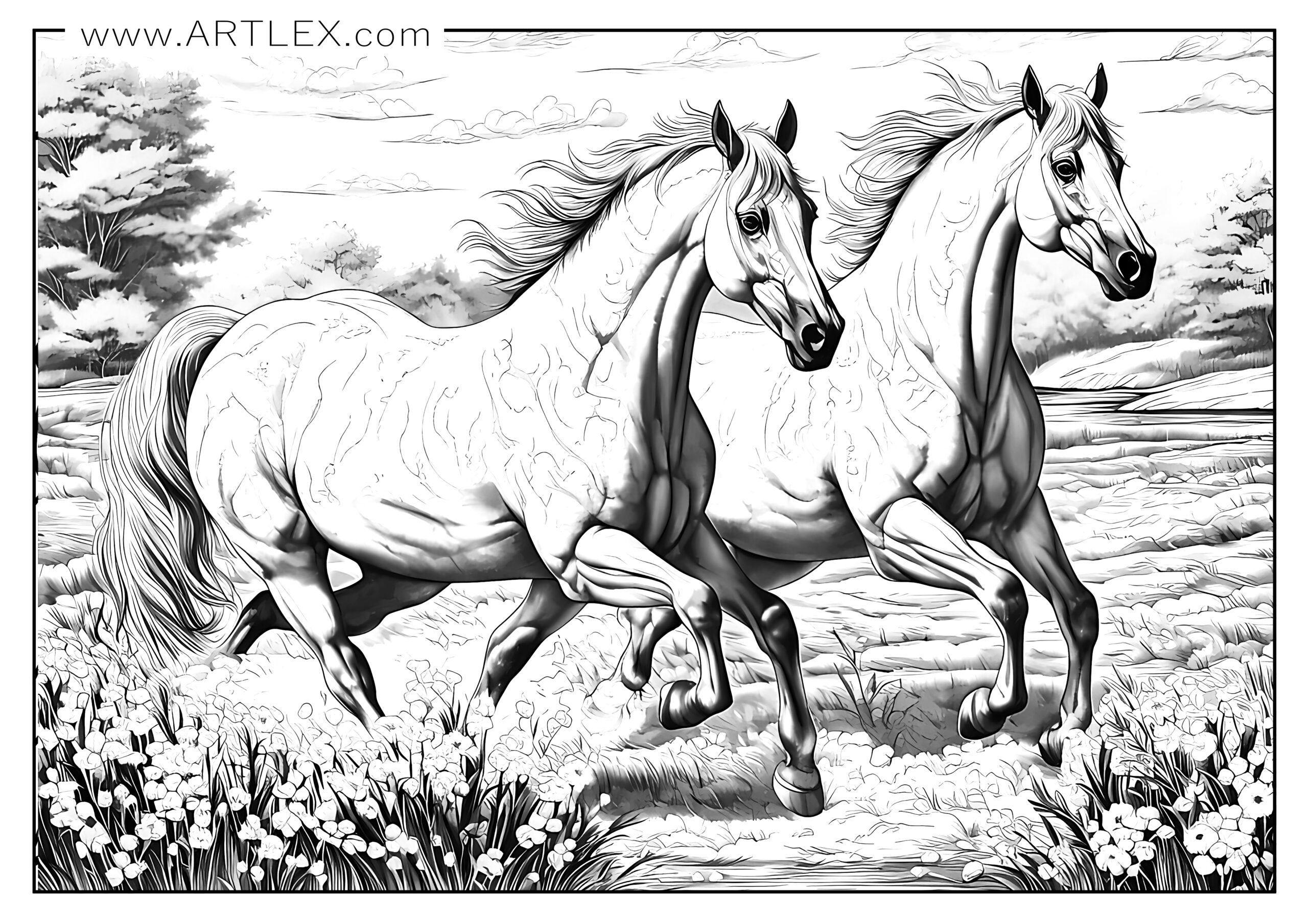 Best horses coloring pages free printable â