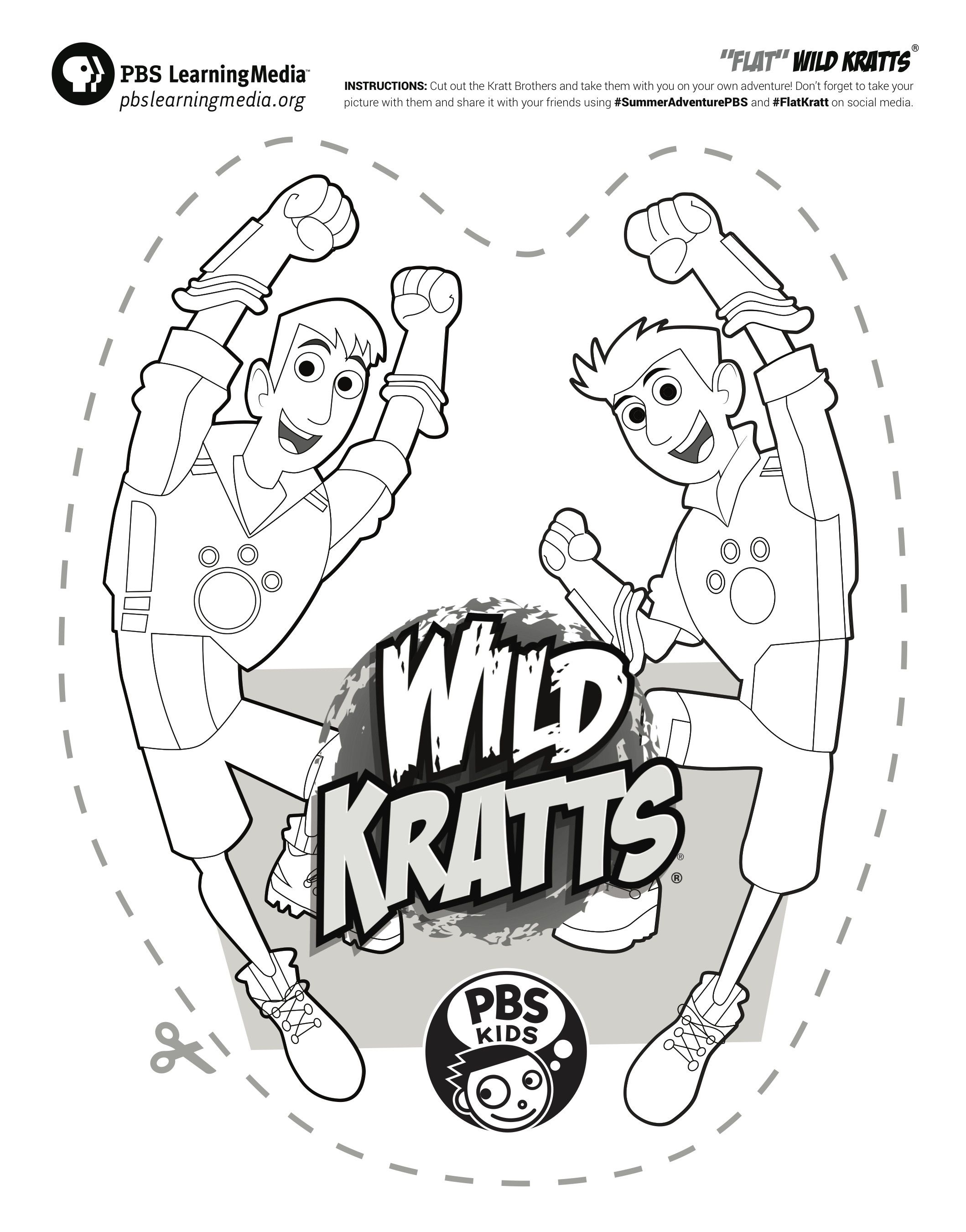 Download your flat kratts pbs education wild kratts wild kratts birthday party wild kratts birthday