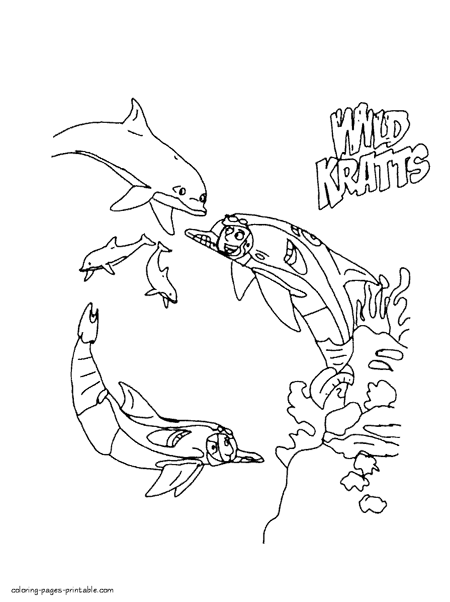 Wild kratts dolphins coloring pages wild kratts deer coloring pages dolphin coloring pages