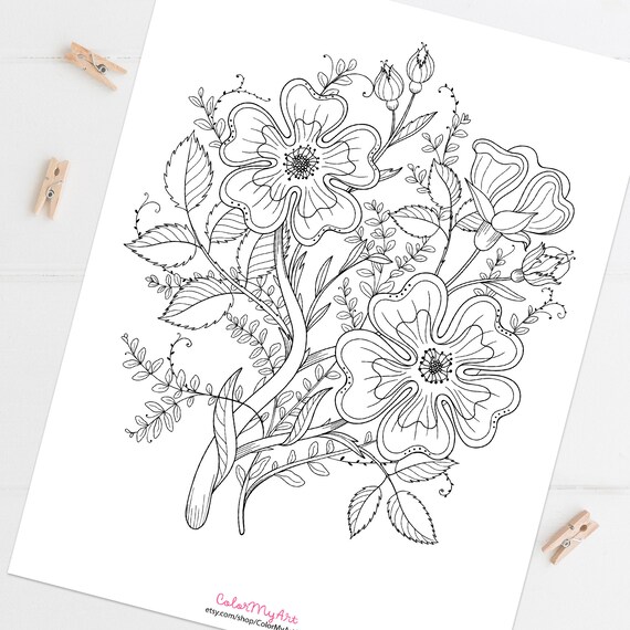 Wild rose coloring page floral botanical coloring sheet adult coloring printable or digital