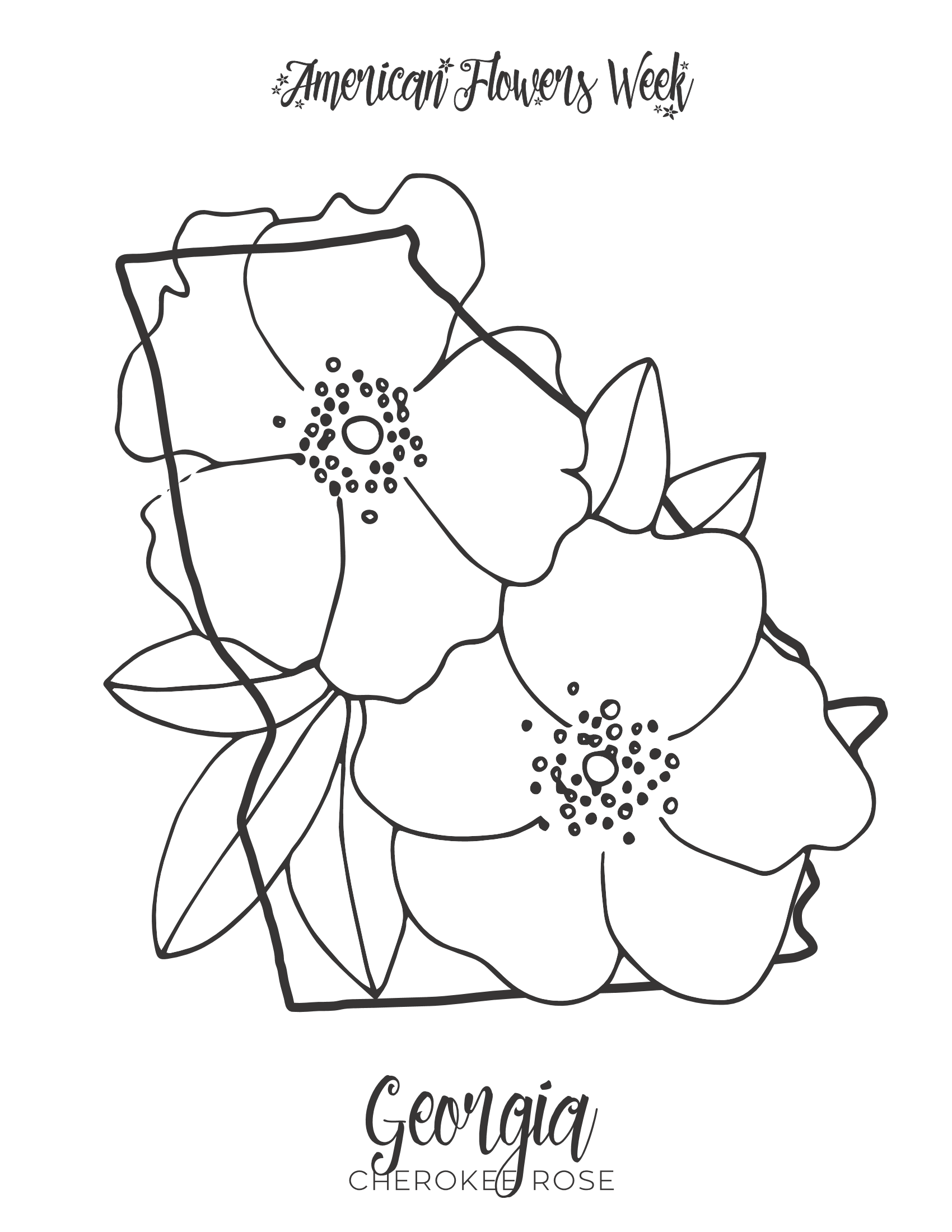 State flowers â free coloring pages â american flowers week