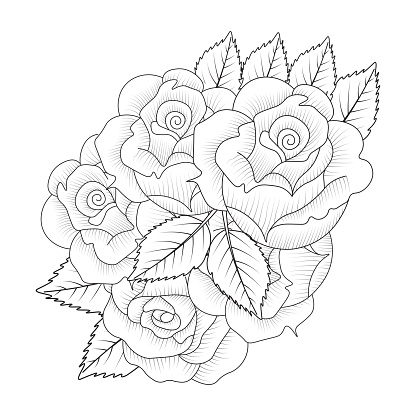 Flowers rose illustration of adult coloring page line art doodle wild flower outline stock illustration