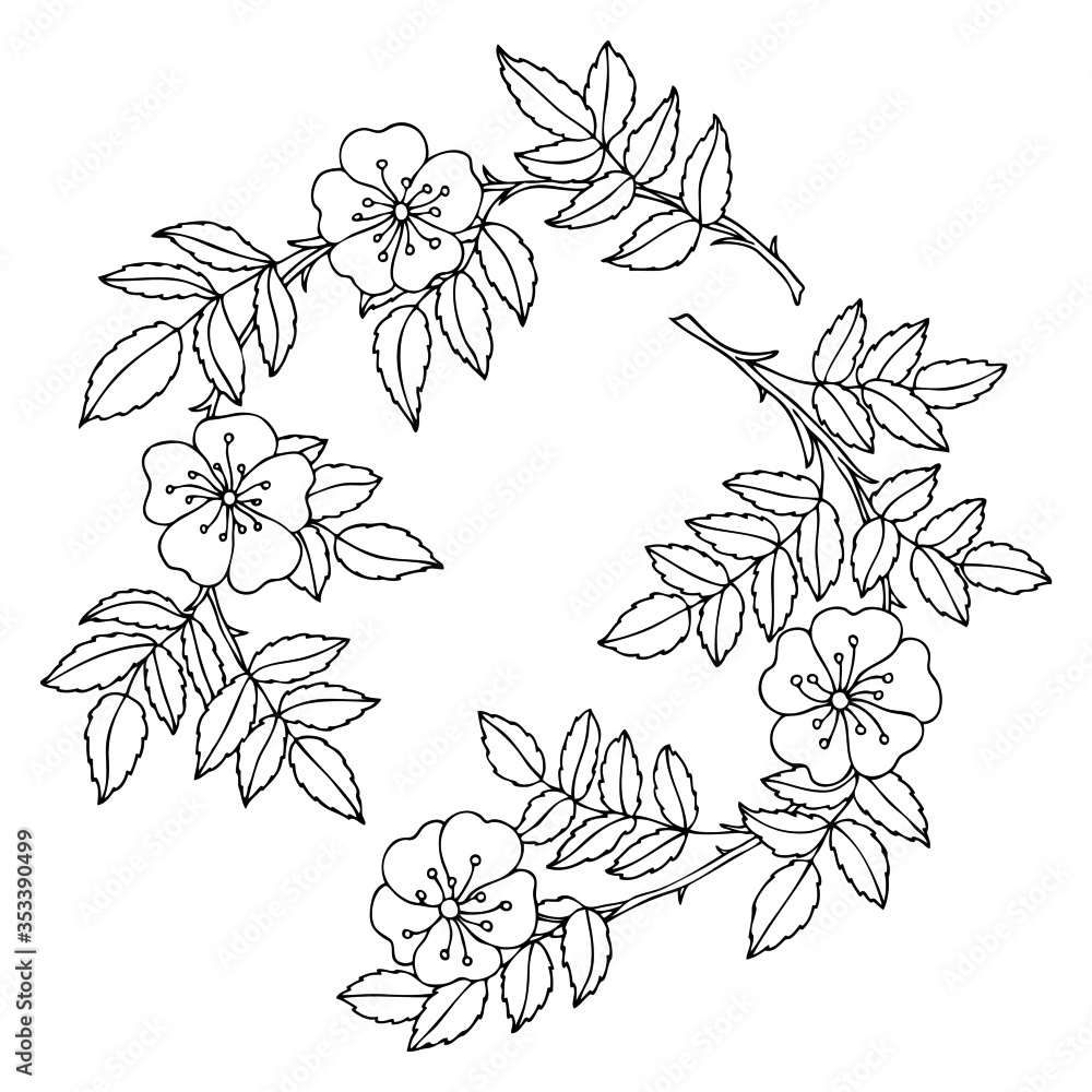 Eglantine twig with leaves and flowers hand drawn wild rose sketch for anti