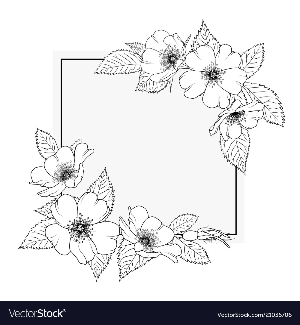 Wild rose rosa canina floral border frame template