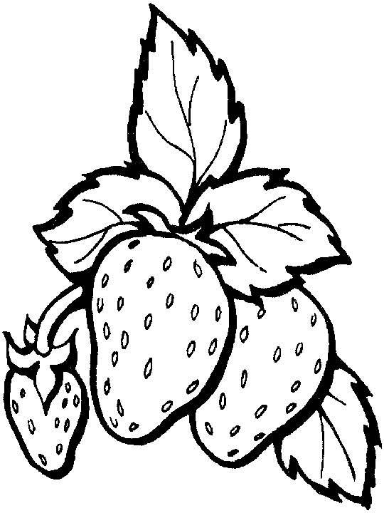 Fresh strawberry coloring pages team colors