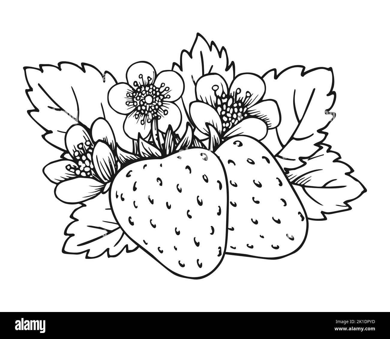 Bunch fresh strawberries leaves blossom stock vector images