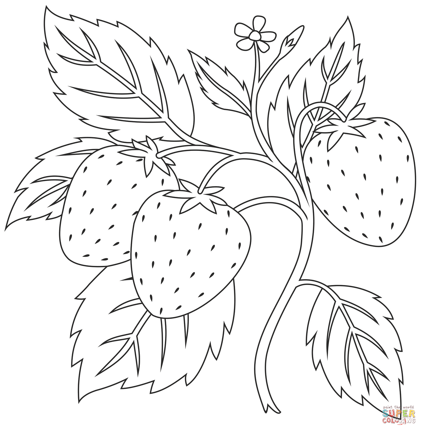 Strawberry coloring page free printable coloring pages