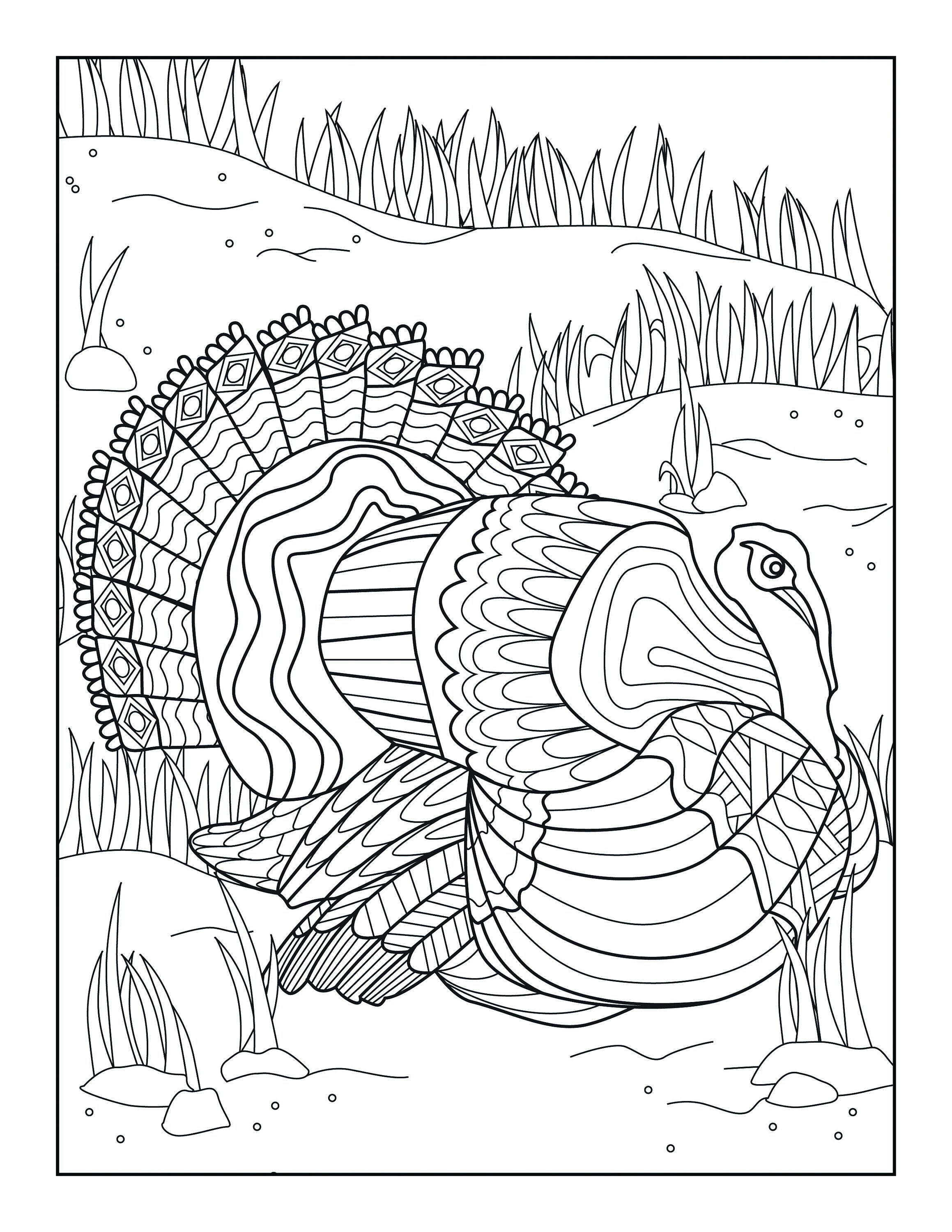 Turkey coloring pages for adults printable coloring page instant download pdf instant download