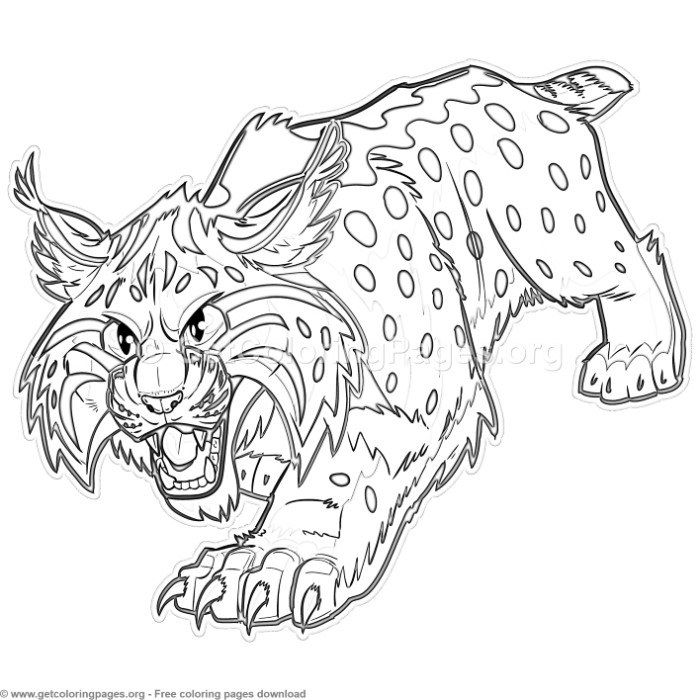 Cartoon bobcat or wildcat coloring pages free instant download coloring coloringbook coloringpagâ animal coloring pages animal coloring books animal sketches