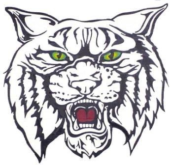 Go wildcats wild cats cat coloring page coloring pages