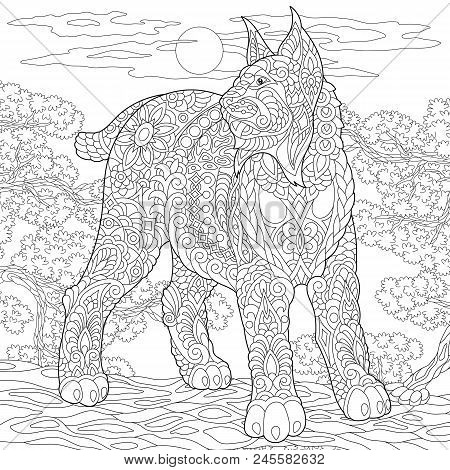 Wildcat coloring vector photo free trial bigstock