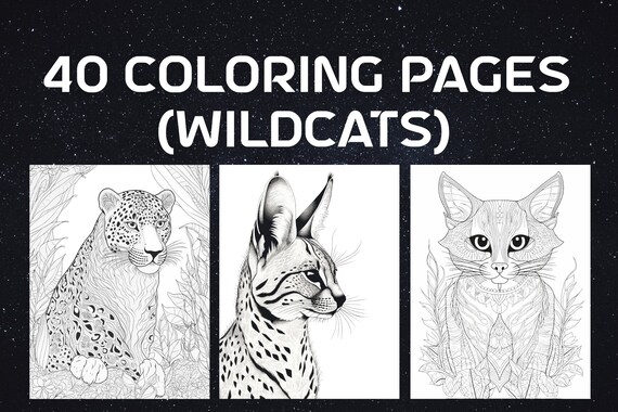 Wildcat coloring pages pages for adults digital download