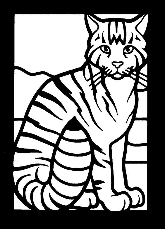 Cat color pages printable wildcat coloring pages cat coloring page wild cats animal coloring pages