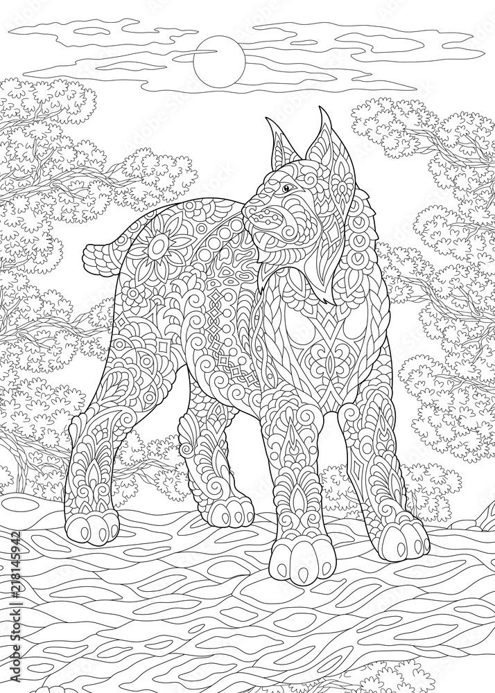 Coloring page coloring book colouring picture with wildcat vector