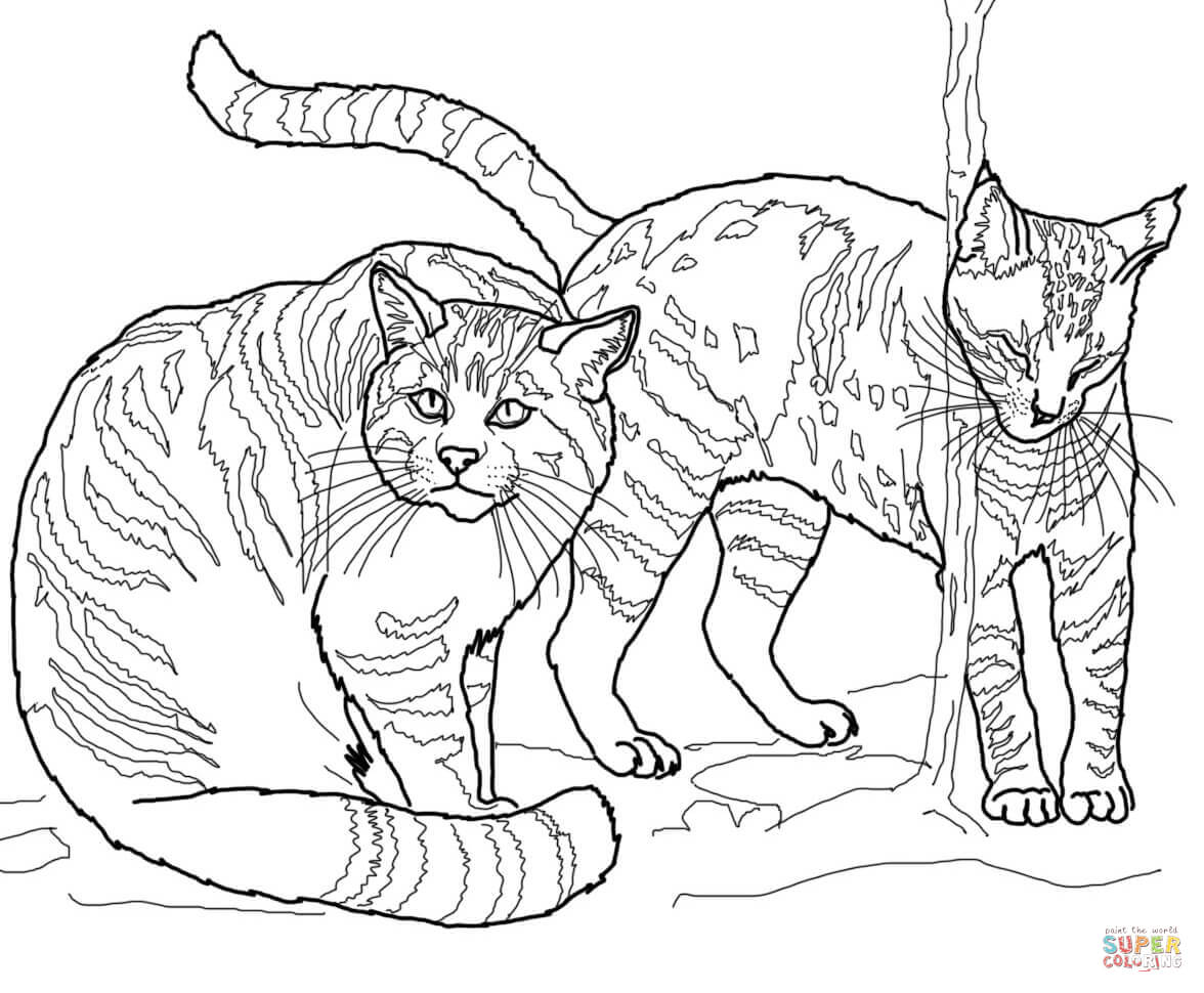 European wildcats coloring page free printable coloring pages