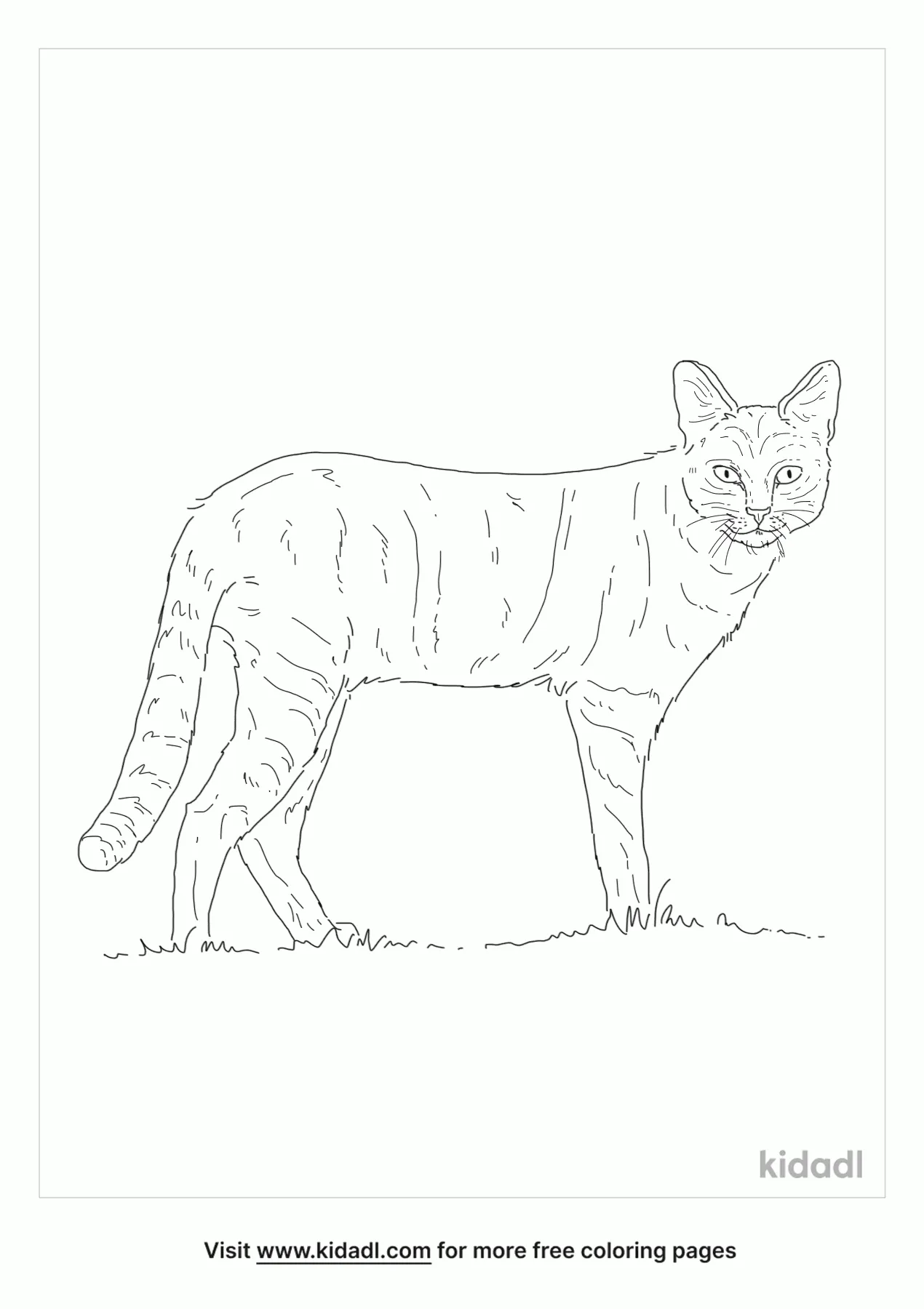 Free asiatic wildcat coloring page coloring page printables