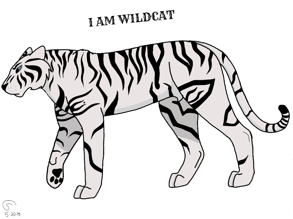 Wildcat digital drawing by zephyraevelynn on