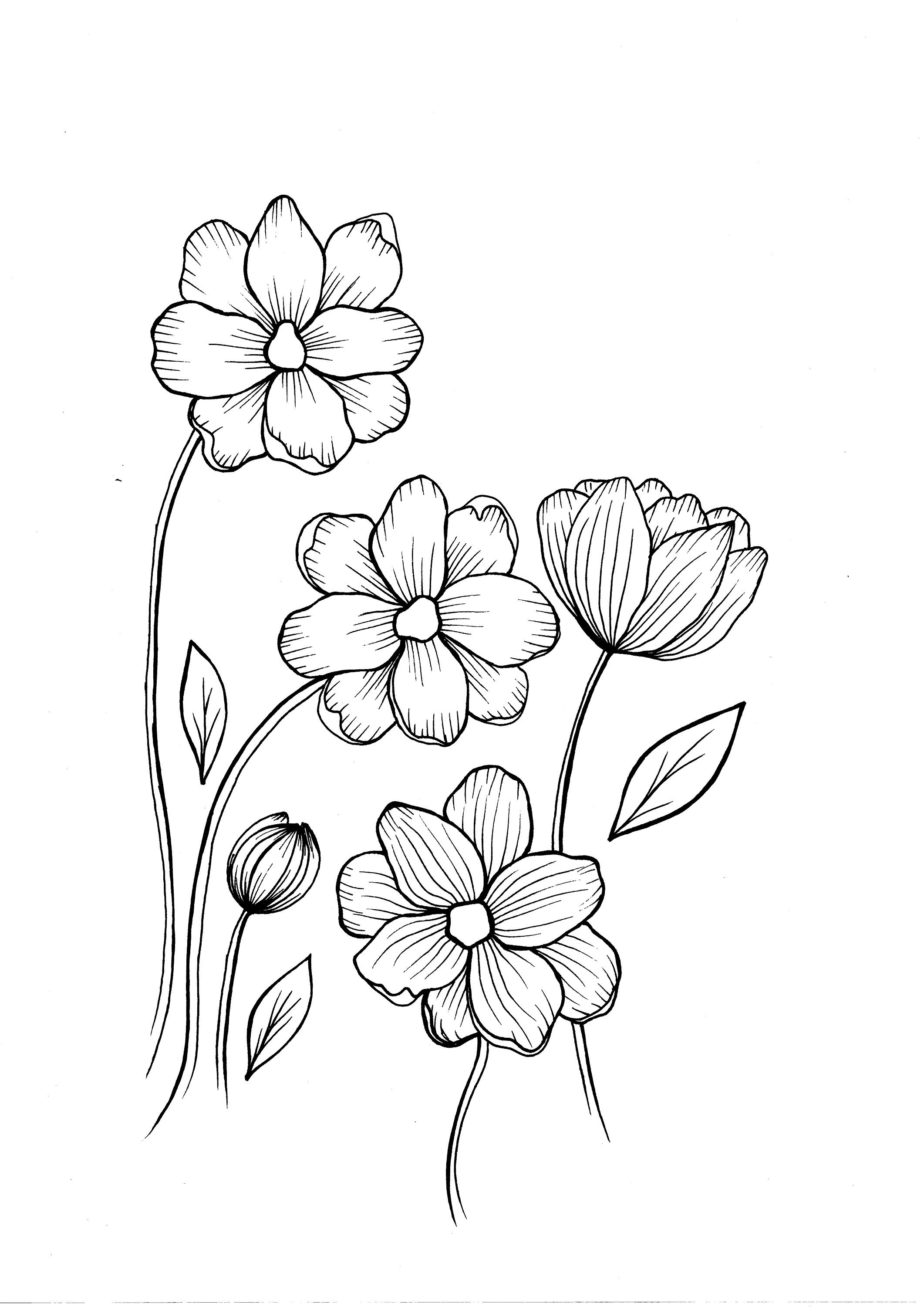 Wild flowers pdf coloring page