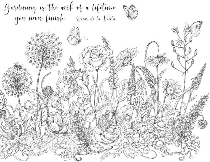 Spring coloring pages â garden inspired flower drawing black and white doodle hand drawn flowers