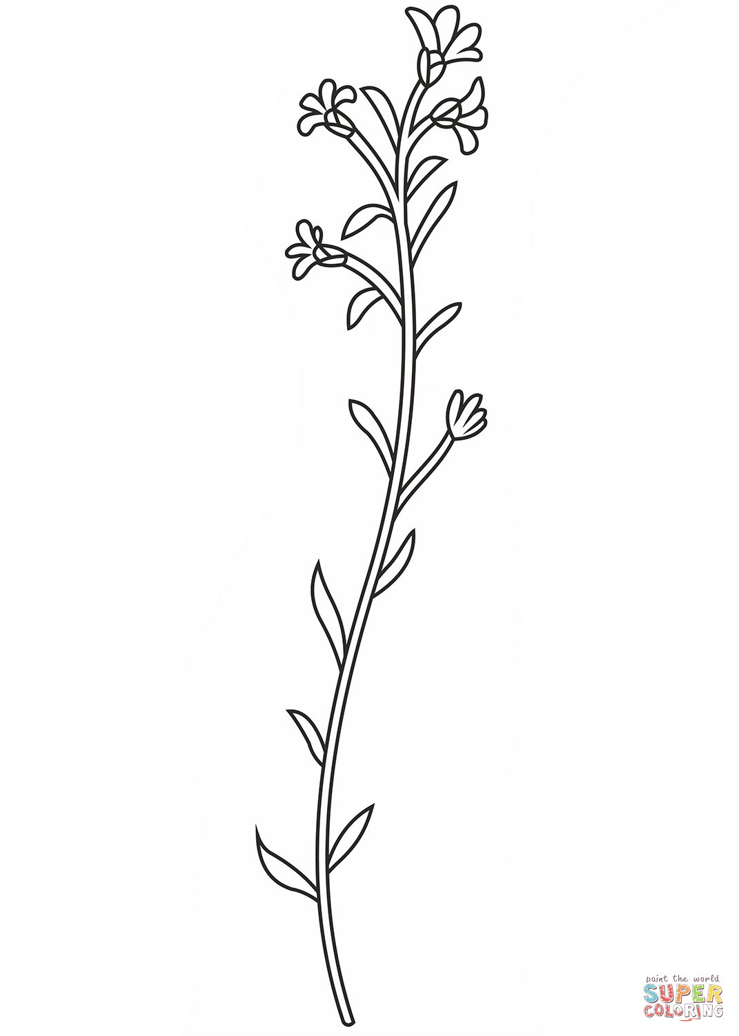 Wildflower coloring page free printable coloring pages