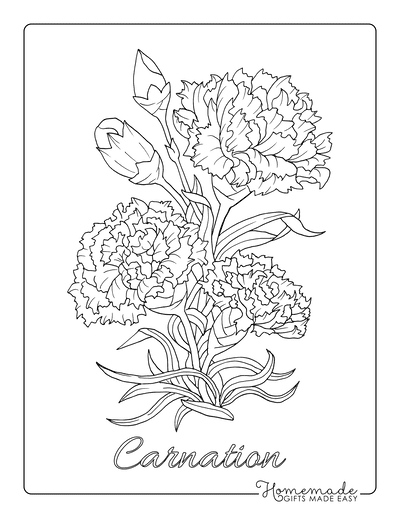 Free flower coloring pages for kids adults