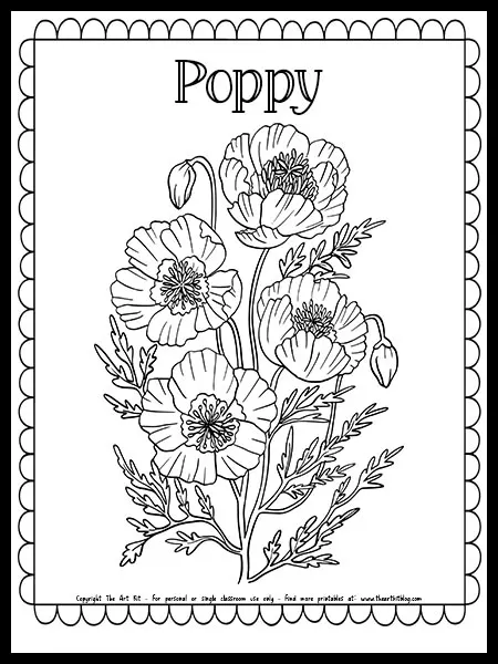 Poppy flower coloring page free printable â the art kit