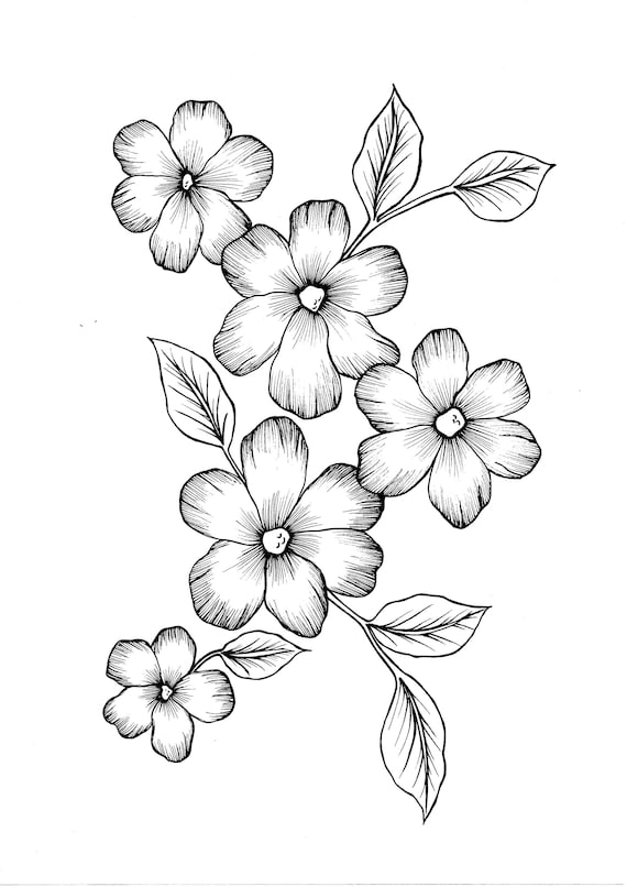 Wild flowers pdf coloring page